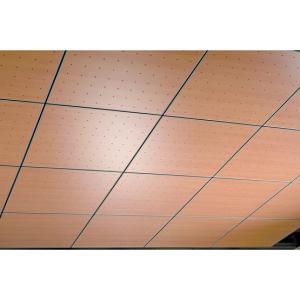 dalles-de-plafond-aspect-bois-thermatex-varioline-bois-002522773-product_maxi